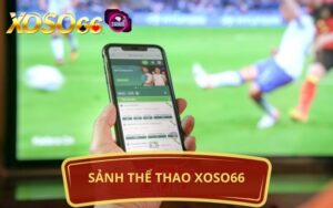 SẢNH THỂ THAO XOSO66